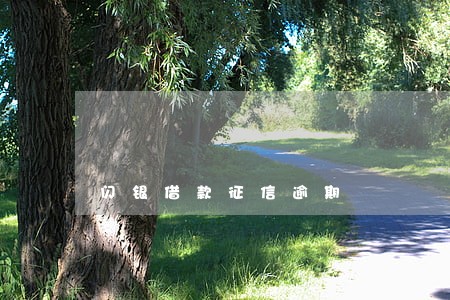 闪银借款征信逾期 闪银借款征信逾期