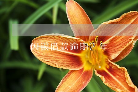 闪银借款逾期2年 闪银借款逾期2年
