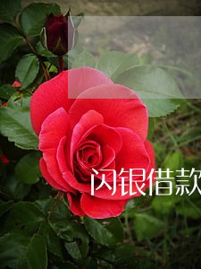 闪银借款逾期74天 闪银借款逾期74天