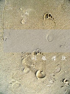 闪银借款逾期上征信 闪银借款逾期上征信