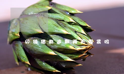 闪银借款逾期两天要紧吗 闪银借款逾期两天要紧吗