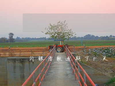 闪银借款逾期了5天