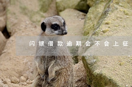闪银借款逾期会不会上征信 闪银借款逾期会不会上征信