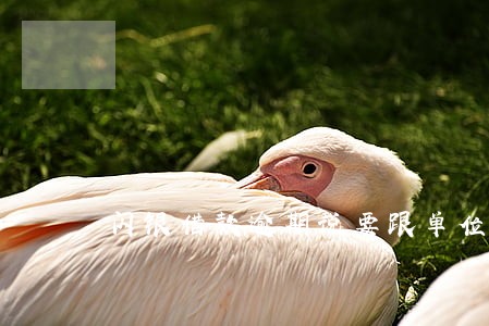 闪银借款逾期说要跟单位联系 闪银借款逾期说要跟单位联系