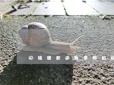 闪银借款逾期费用如何处理 闪银借款逾期费用如何处理