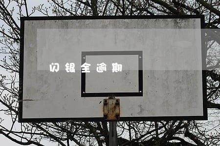 闪银全逾期 闪银全逾期