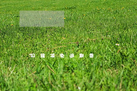闪银减免逾期费 闪银减免逾期费