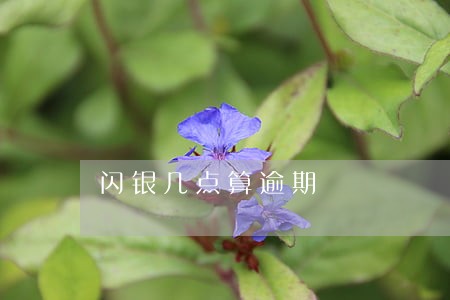 闪银几点算逾期 闪银几点算逾期