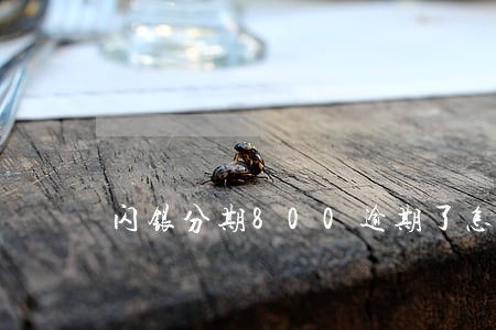 闪银分期800逾期了怎样