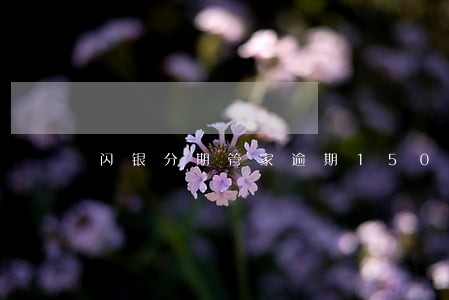 闪银分期管家逾期150天 闪银分期管家逾期150天