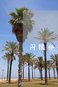 闪银分期管家逾期一天6 闪银分期管家逾期一天6