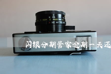 闪银分期管家逾期一天还能再借吗 闪银分期管家逾期一天还能再借吗