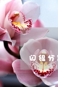 闪银分期管家逾期三天 闪银分期管家逾期三天