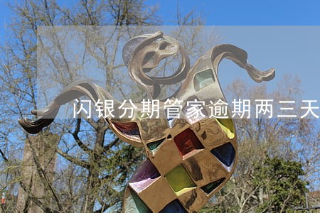 闪银分期管家逾期两三天