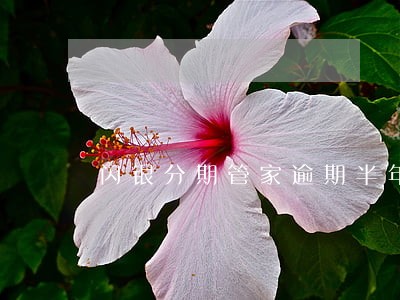 闪银分期管家逾期半年 闪银分期管家逾期半年