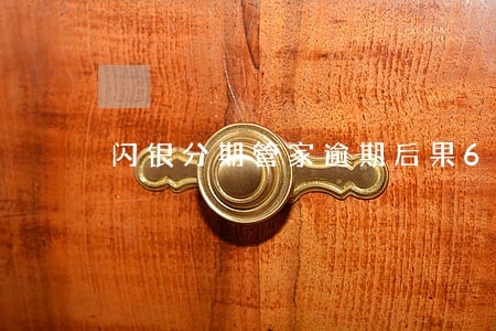 闪银分期管家逾期后果6 闪银分期管家逾期后果6
