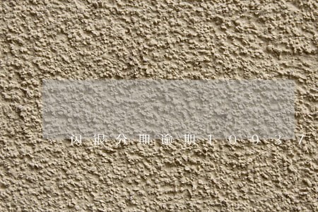 闪银分期逾期10937怎么处理 闪银分期逾期10937怎么处理