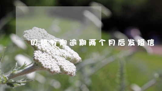 闪银分期逾期两个月后发短信 闪银分期逾期两个月后发短信