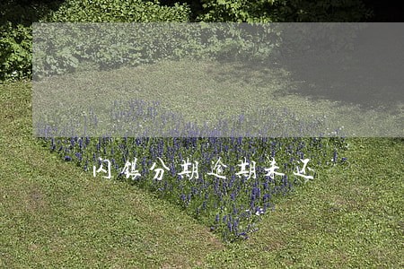 闪银分期逾期未还