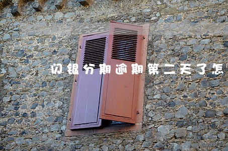 闪银分期逾期第二天了怎么办 闪银分期逾期第二天了怎么办