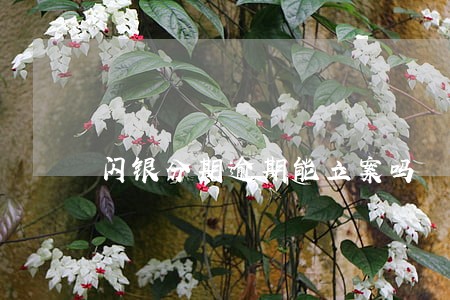 闪银分期逾期能立案吗 闪银分期逾期能立案吗