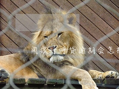闪银呼呼贷逾期会怎样 闪银呼呼贷逾期会怎样