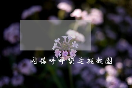 闪银呼呼贷逾期截图 闪银呼呼贷逾期截图