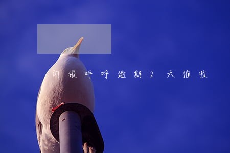 闪银呼呼逾期2天催收 闪银呼呼逾期2天催收