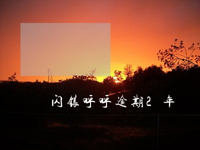 闪银呼呼逾期2年 闪银呼呼逾期2年