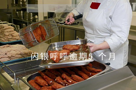 闪银呼呼逾期5个月 闪银呼呼逾期5个月
