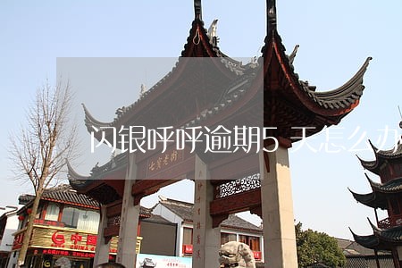 闪银呼呼逾期5天怎么办 闪银呼呼逾期5天怎么办