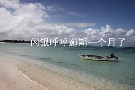 闪银呼呼逾期一个月了 闪银呼呼逾期一个月了