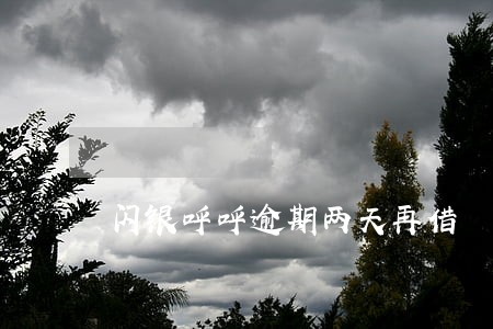 闪银呼呼逾期两天再借 闪银呼呼逾期两天再借