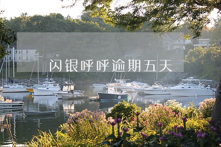 闪银呼呼逾期五天 闪银呼呼逾期五天