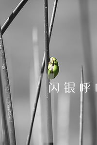 闪银呼呼逾期再Q