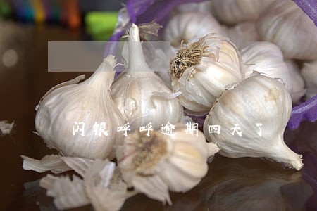 闪银呼呼逾期四天了 闪银呼呼逾期四天了