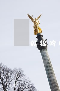 闪银哼哼2500逾期一天
