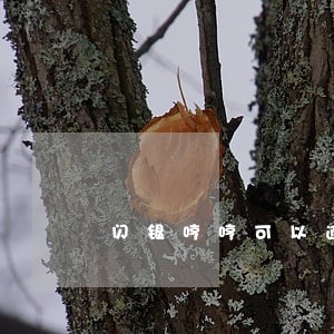闪银哼哼可以逾期