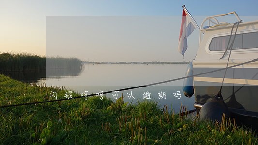 闪银哼哼可以逾期吗 闪银哼哼可以逾期吗