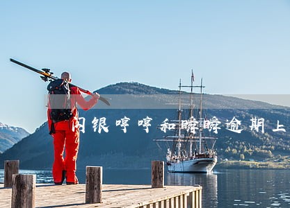 闪银哼哼和瞬瞬逾期上征信不