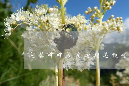 闪银哼哼没有逾期还能借吗
