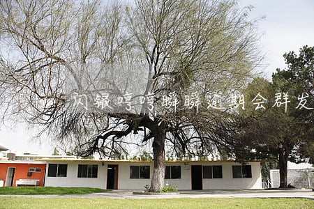 闪银哼哼瞬瞬逾期会群发吗 闪银哼哼瞬瞬逾期会群发吗
