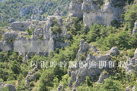 闪银哼哼瞬瞬逾期催收 闪银哼哼瞬瞬逾期催收