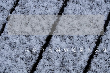 闪银哼哼瞬瞬逾期多久爆通讯录