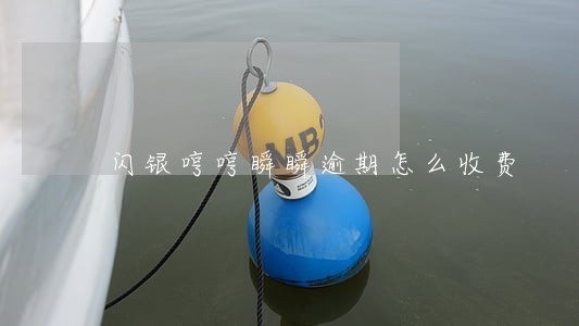 闪银哼哼瞬瞬逾期怎么收费 闪银哼哼瞬瞬逾期怎么收费