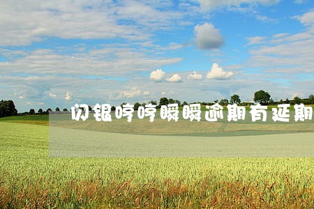 闪银哼哼瞬瞬逾期有延期吗
