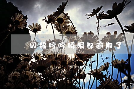 闪银哼哼瞬瞬都逾期了 闪银哼哼瞬瞬都逾期了