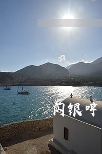 闪银哼哼舜舜逾期了 闪银哼哼舜舜逾期了
