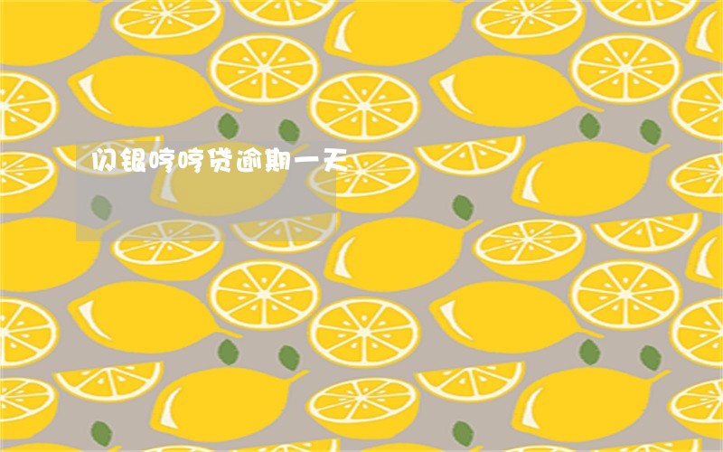 闪银哼哼贷逾期一天 闪银哼哼贷逾期一天