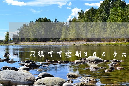 闪银哼哼逾期300多天 闪银哼哼逾期300多天